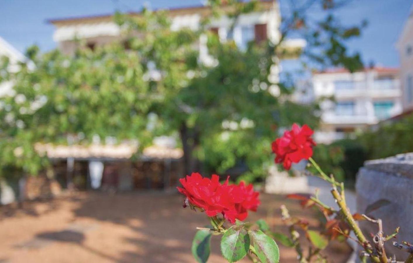 Apartments Nikola Punat Bagian luar foto